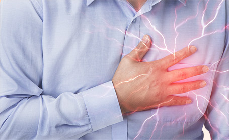 Illustration of the heart and blood vessels